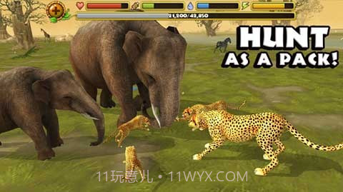 猎豹模拟器截图2