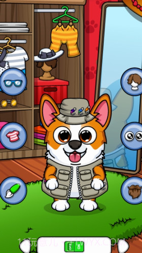 我的柯基犬截图3