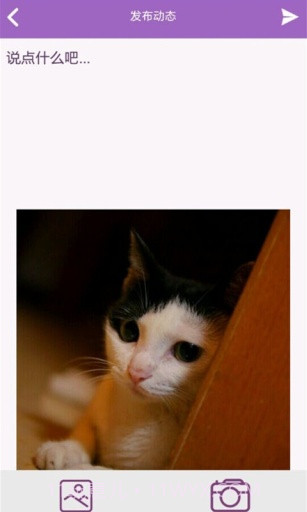 喵星球截图4 喵星球截图4