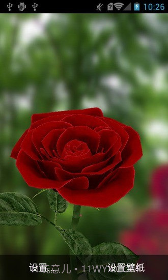 3D玫瑰动态壁纸截图2 3D玫瑰动态壁纸截图2