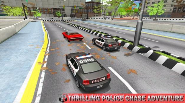 真正的黑帮枪击案截图3