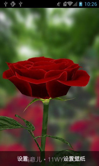 3D玫瑰动态壁纸截图3 3D玫瑰动态壁纸截图3