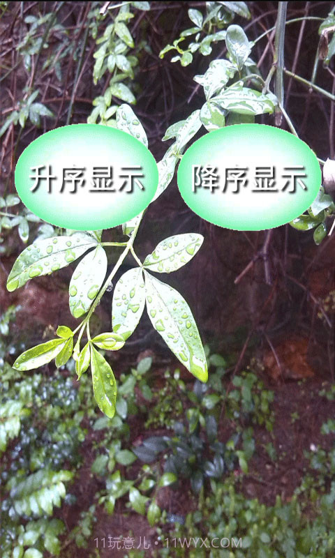 小学数学公式大全截图2