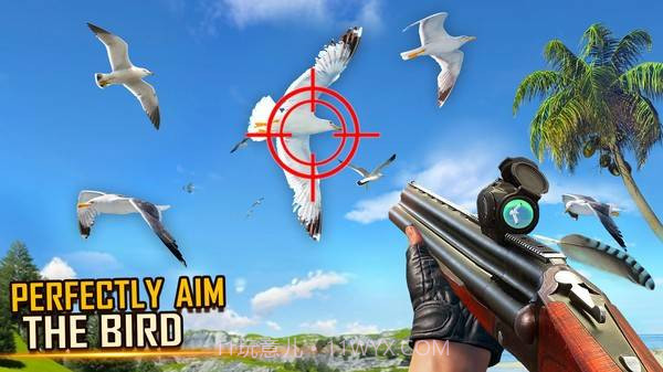 野鸟狩猎截图1 野鸟狩猎截图1