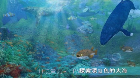 全民养鲸鱼红包版截图1