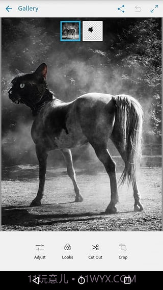 Adobe Photoshop Mix截图4