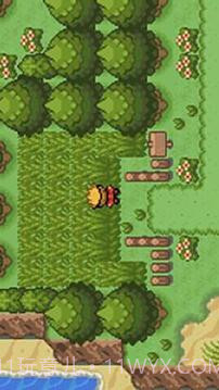 口袋妖怪:釉色截图4 口袋妖怪:釉色截图4