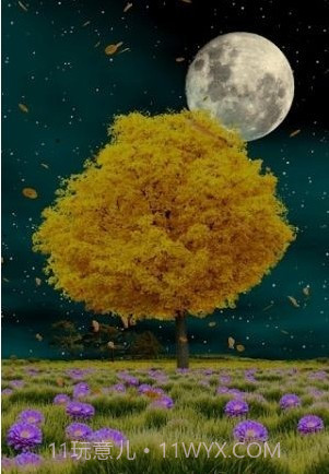 秋天动态壁纸截图4 秋天动态壁纸截图4