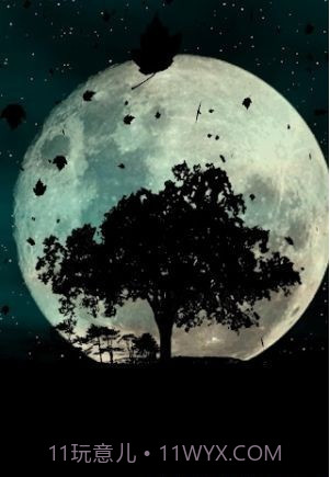 秋天动态壁纸截图2 秋天动态壁纸截图2