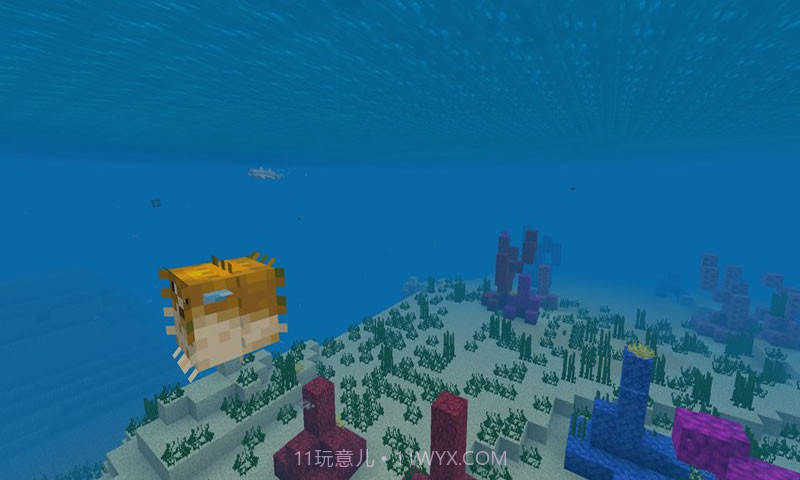 我的世界海洋最新版截图2