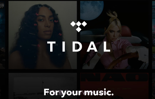 TIDAL音乐正版截图1 TIDAL音乐正版截图1