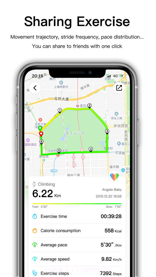 wearfitpro表盘截图2