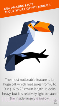 Cardinal Landv2.0截图4