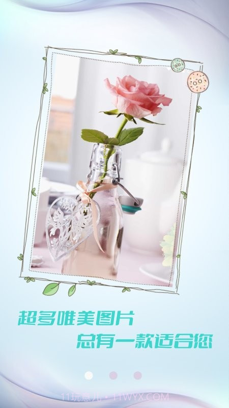 小猪壁纸大全截图4