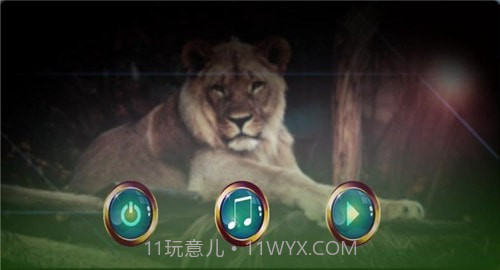 野生狮子2022截图2 野生狮子2022截图2