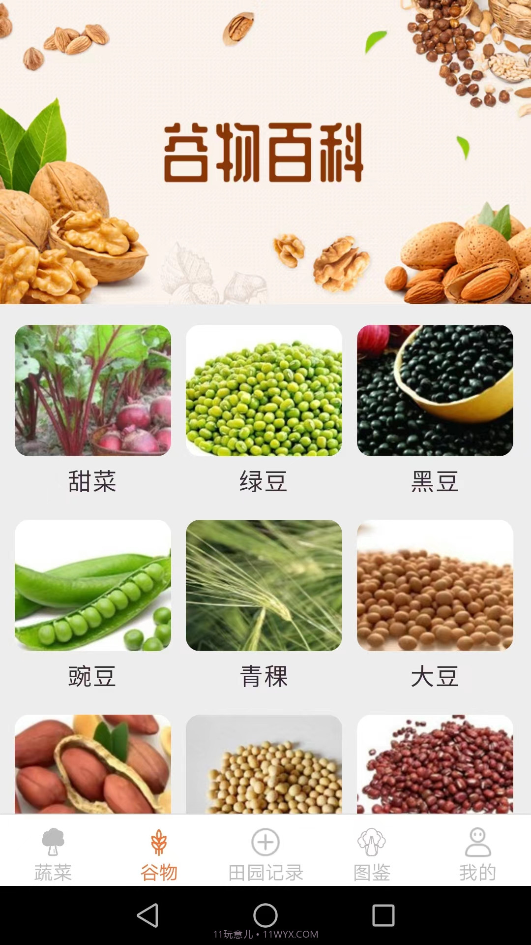 口袋田园截图1 口袋田园截图1