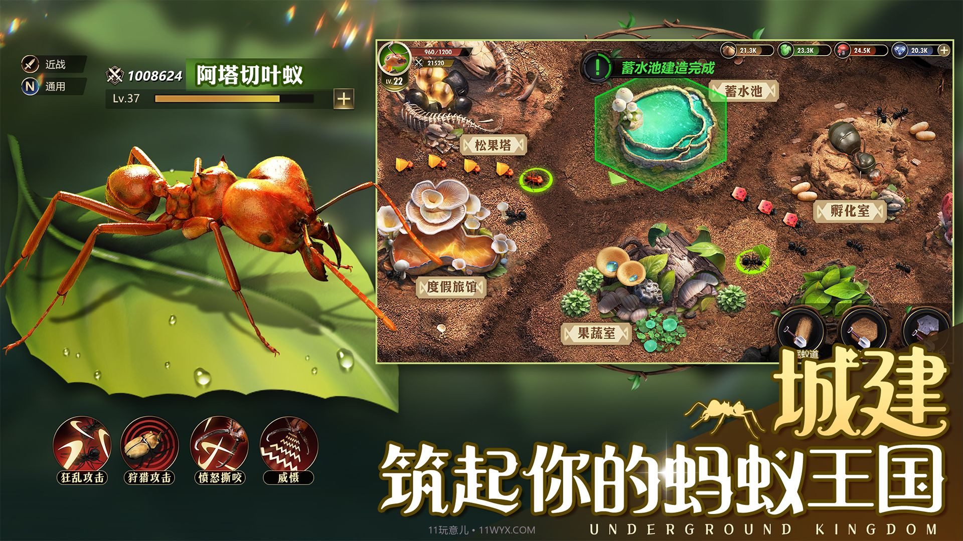 小小蚁国37截图3