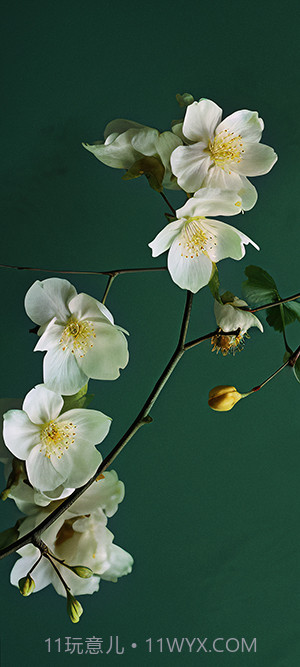 小米澎湃OS主题软件截图1 小米澎湃OS主题软件截图1