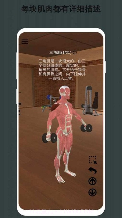 3D健身动画教程截图3 3D健身动画教程截图3