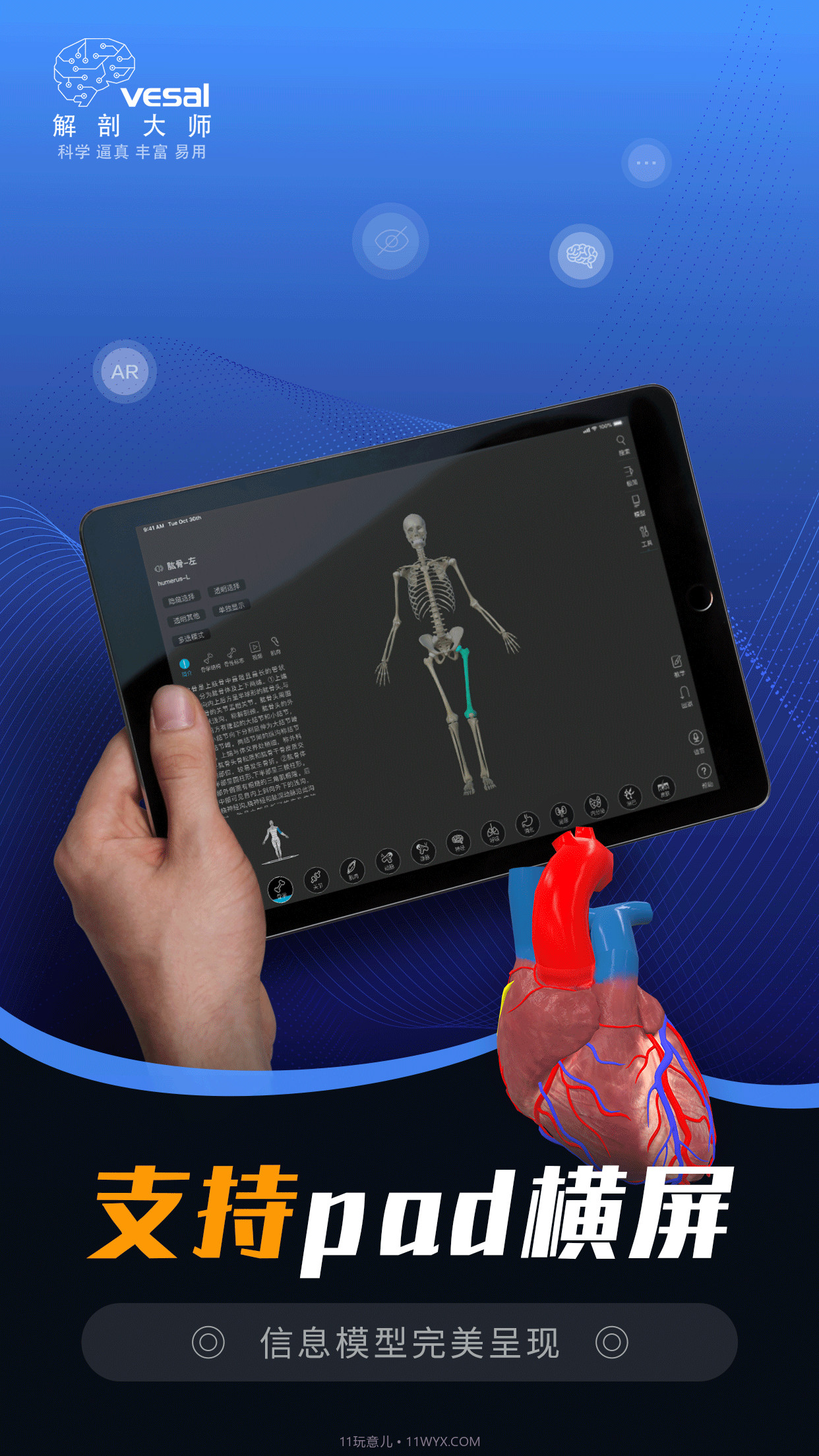解剖大师截图2 解剖大师截图2
