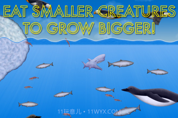 海洋生物进化截图1 海洋生物进化截图1