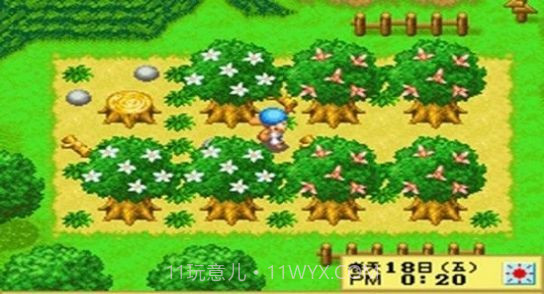 牧场物语精灵驿站中文版截图2