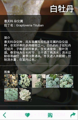 多肉植物软件截图3 多肉植物软件截图3
