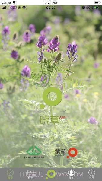 晓草草原植物识别截图4