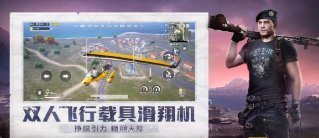 和平精英小蜜蜂助手截图1