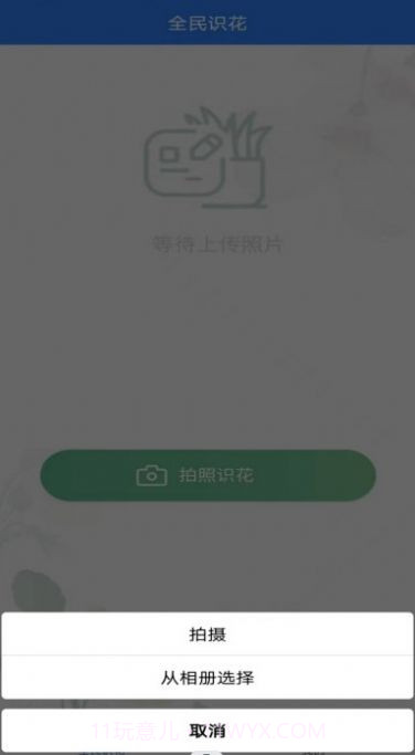 全民识花截图1 全民识花截图1