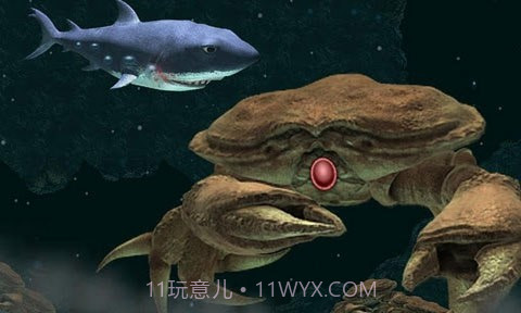 嗜血狂鲨2截图2