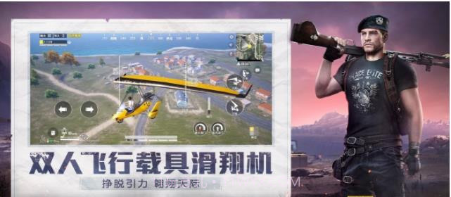 和平精英小蜜蜂助手截图2