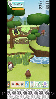 小鸟观察器截图3