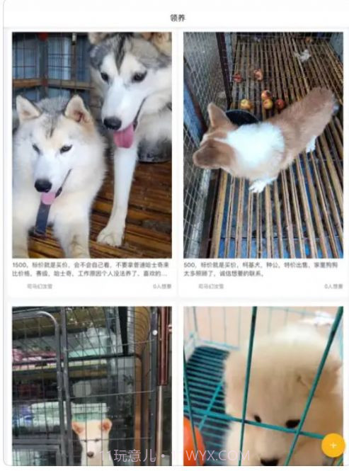 小爱宠物口令截图3