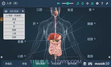 人体解剖3D模型截图1 人体解剖3D模型截图1