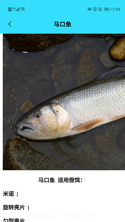 我爱养鱼截图2