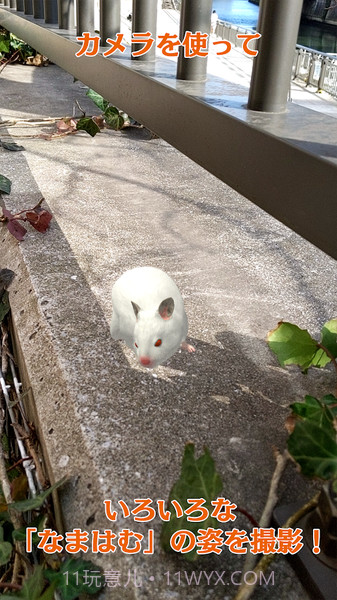 云仓鼠免费版截图4 云仓鼠免费版截图4