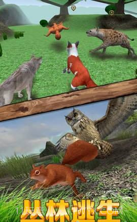 松鼠模拟器截图2 松鼠模拟器截图2