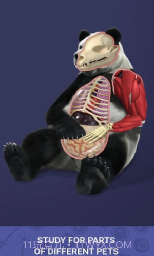 放置宠物截图3 放置宠物截图3