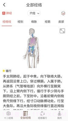 3D BODY(经络穴位3D)截图3