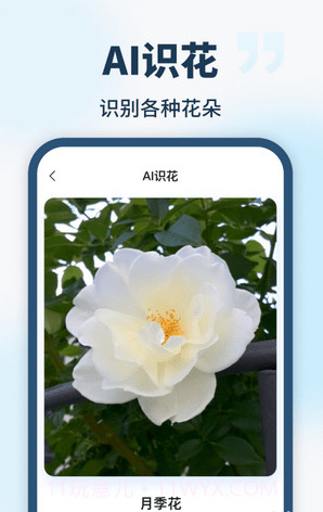 AI智能助手截图2