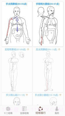 3D BODY(经络穴位3D)截图5