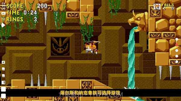 刺猬索尼克3d游戏截图3