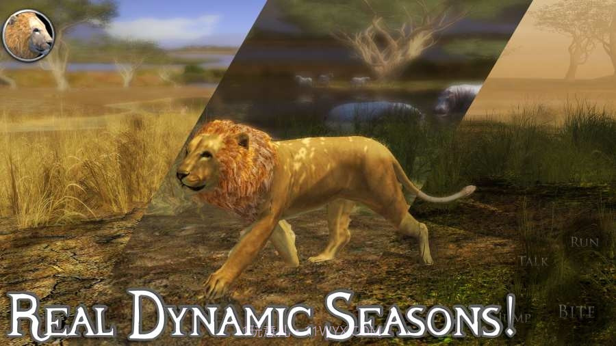 终极狮子模拟器无限经验手机版截图1