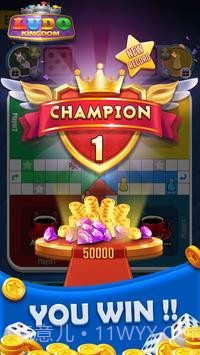 Ludo Pro卢多之王截图2