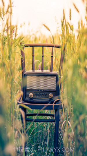 Ideal Music截图1 Ideal Music截图1