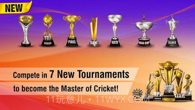 世界板球锦标赛2截图2