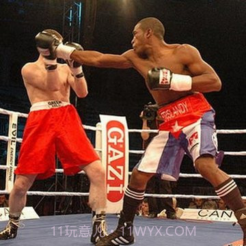 拳击WWE游戏截图8