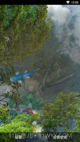 3d鱼池动态壁纸（Koi）截图1