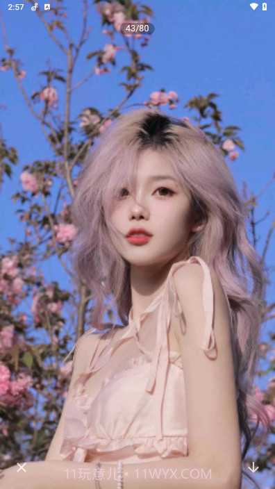 口袋壁纸主题壁纸截图2